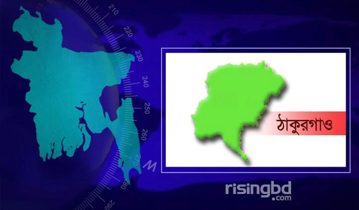 ঠাকুরগাঁও হরিপুরে সাপের কামড়ে ২ নারীর মৃত্যু