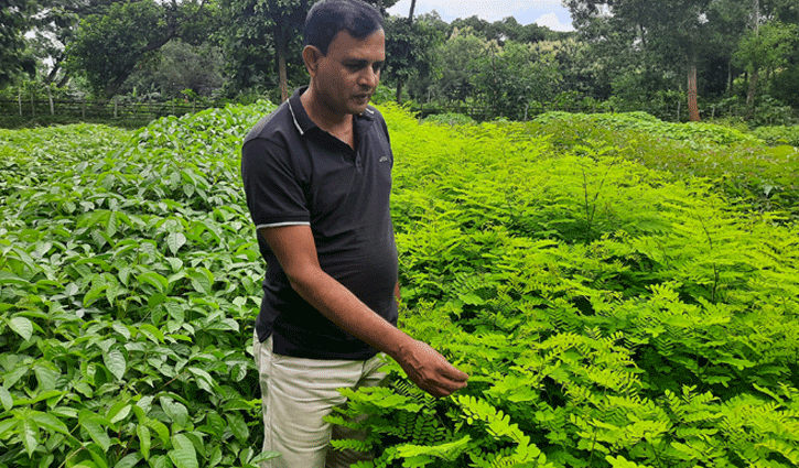 বৃক্ষ রোপণে গভীর বনে রূপ নিচ্ছে রঘুনন্দন 