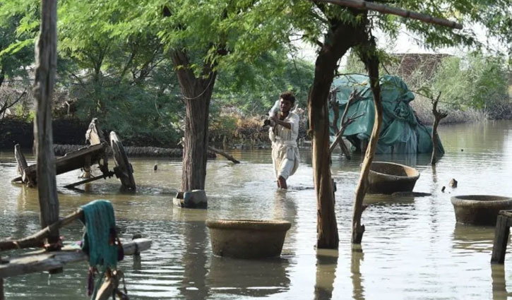 বন্যা দুর্গতদের আর্থিক সহায়তার ঘোষণা পিসিবির