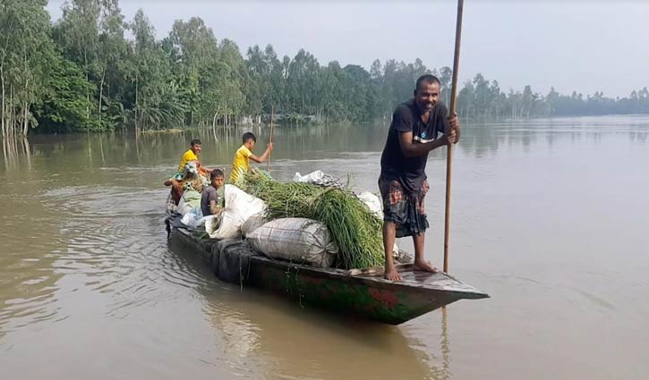 কুড়িগ্রামের নদ-নদীর পানি বৃদ্ধি, নিম্নাঞ্চল প্লাবিত