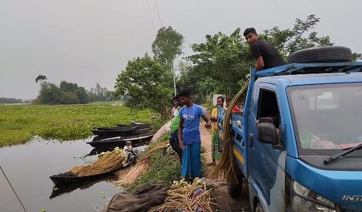 পিকআপ ভর্তি হয়ে ঢাকায় আসছে আড়িয়ল বিলের শাপলা