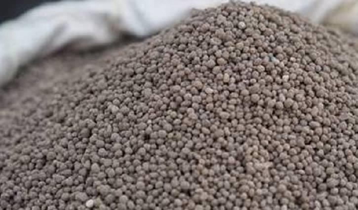 Govt to import 40,000 tons of DAP fertilizer