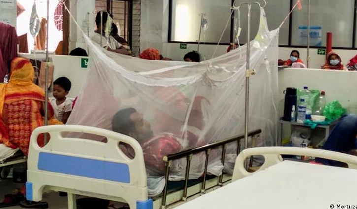 12 more die of dengue