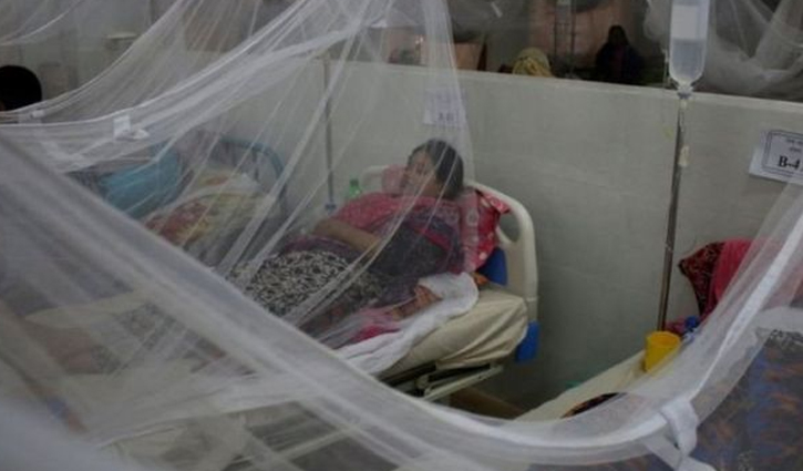 7 more die of dengue, 1094 hospitalised