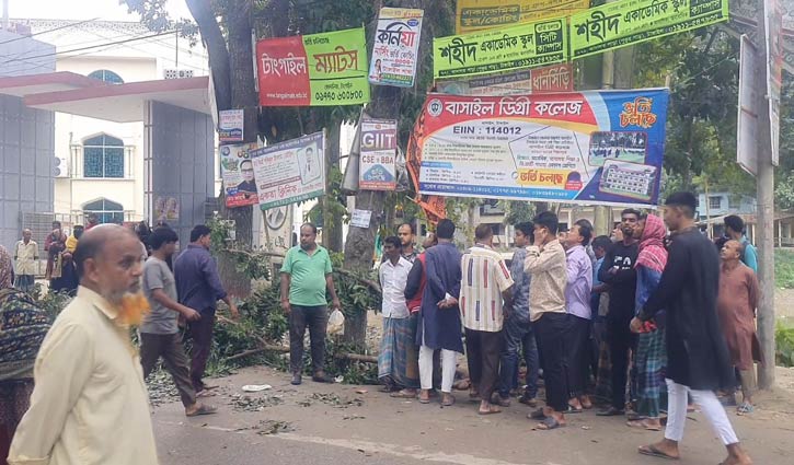 বাসাইলে গাছের ডাল মাথায় পড়ে ব্যবসায়ীর মৃত্যু