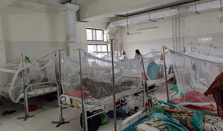 8 more die of dengue, 1429 hospitalised