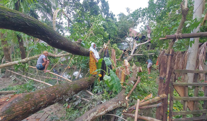 রেমালের তাণ্ডবে ঝালকাঠিতে ৬ শতাধিক ঘর বিধ্বস্ত 