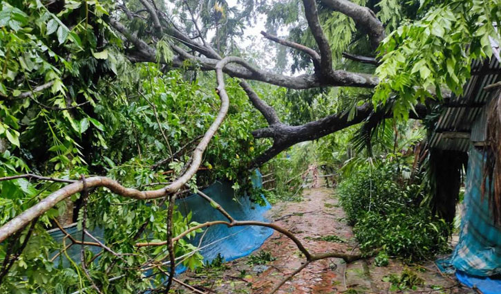 ঘূর্ণিঝড়ে বাগেরহাট উপকূলে ৬৪৪ কোটি টাকার ক্ষতি