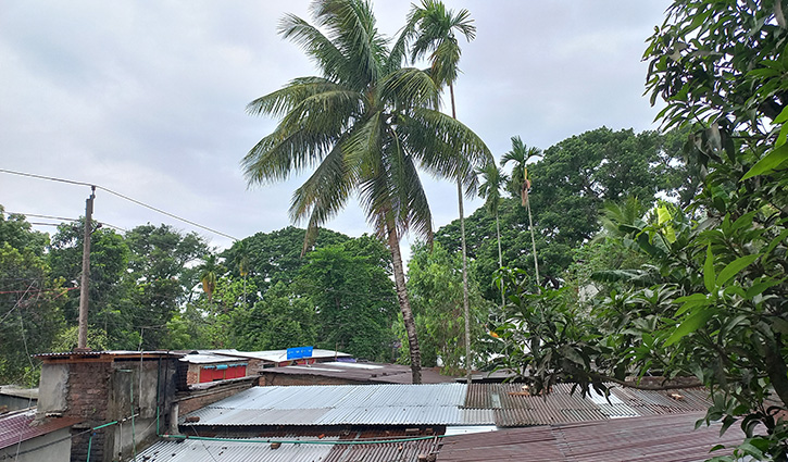 রেমালের প্রভাব: রংপুরে গুঁড়ি গুঁড়ি বৃষ্টি 