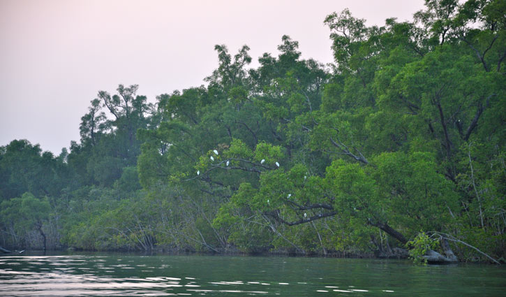 ঘূর্ণিঝড় রেমাল: সুন্দরবনে বাড়তি সতর্কতা