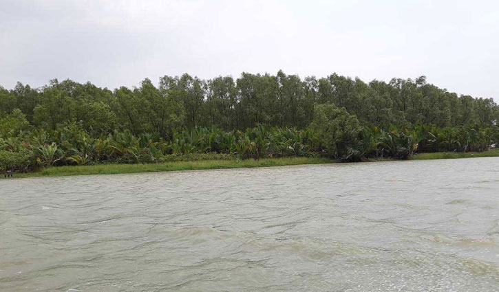 রেমাল তাণ্ডব: সুন্দরবনে সুপেয় পানির তীব্র সংকট, ঝুঁকিতে বন্যপ্রাণী