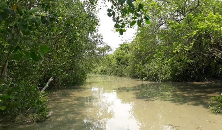 তিন মাস বন্ধ থাকার পর খুলছে সুন্দরবন