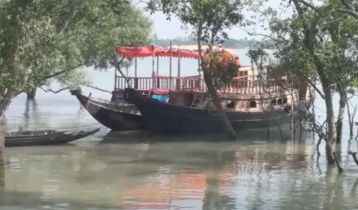 Sundarbans reopens after 3-month closure