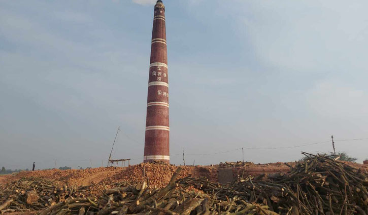 ঠাকুরগাঁওয়ে একটি ইট ভাটায় দুই লাখ টাকা জরিমানা