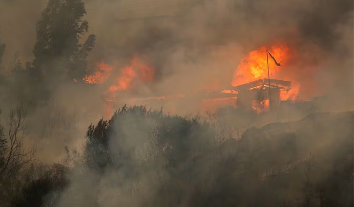 Forest fires kill 51 in Chile