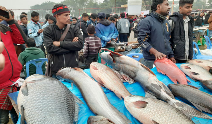 ঐতিহ্যবাহী পইলের মাছের মেলা 