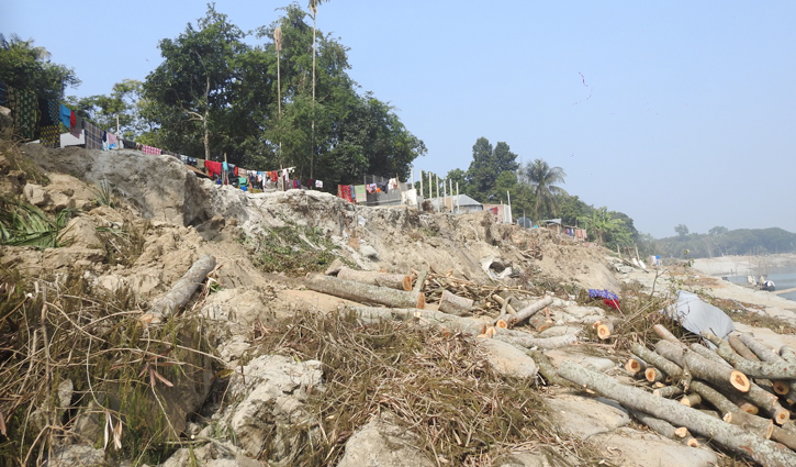 গড়াই নদীর ভাঙনে দিশেহারা মালোপাড়ার বাসিন্দারা