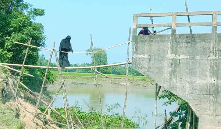 শেরপুরে সংযোগ সড়কের অভাবে ভোগান্তিতে ২ গ্রামের মানুষ