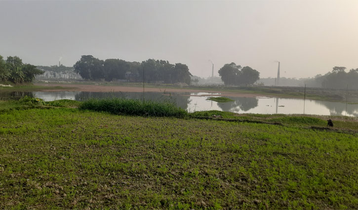 এক ইউনিয়নেই ২৩ ইটভাটা, বিপন্ন পরিবেশ