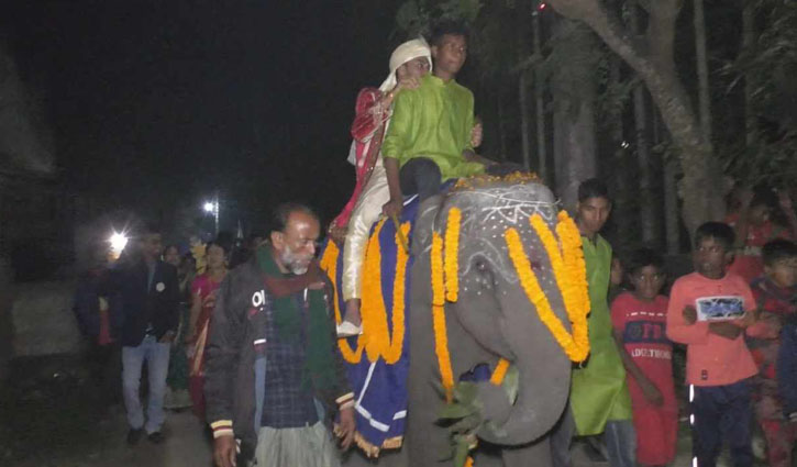 দাদার স্বপ্ন পূরণে হাতির পিঠে চড়ে বিয়ে