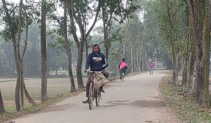 পঞ্চগড়ে বৃষ্টির মতো ঝরছে কুয়াশা