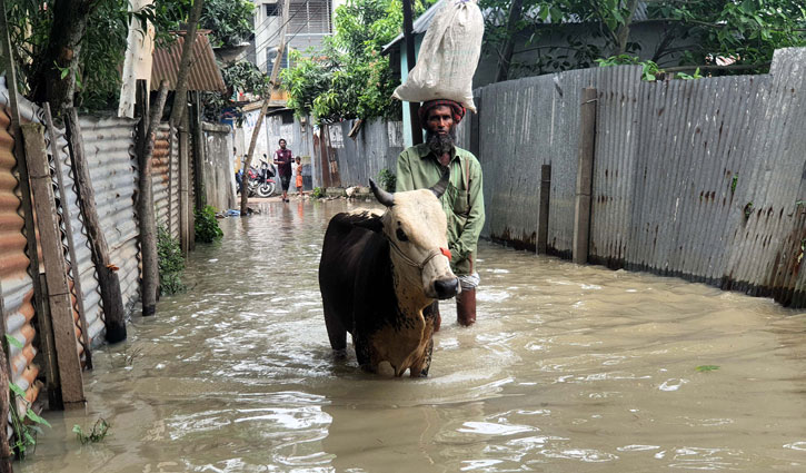 টাঙ্গাইলে নদীর পানি বৃদ্ধি, নতুন এলাকা প্লাবিত