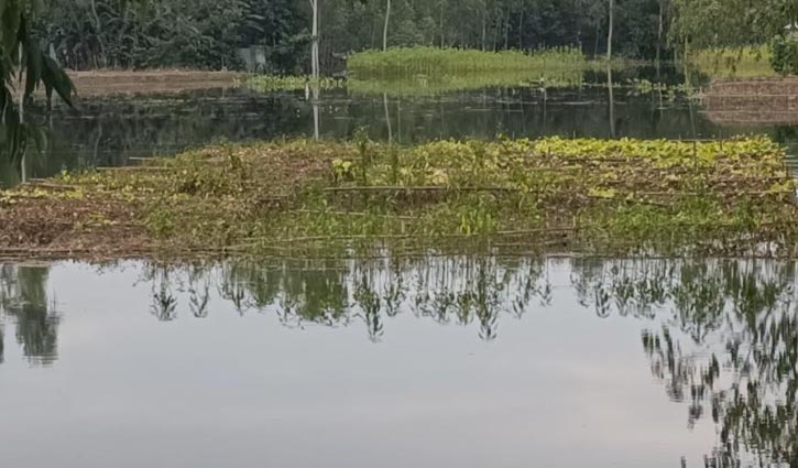 কুড়িগ্রামে বন্যায় কৃষিতে ক্ষতি ১০৫ কোটি টাকা