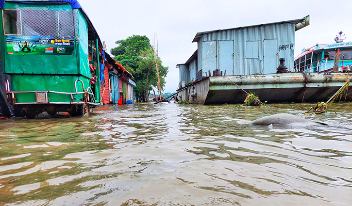 সুনামগঞ্জে একদিকে পানি কমছে, অন্যদিকে বাড়ছে