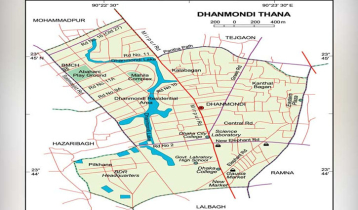 Firearms, ammunitions found in Dhanmondi house 