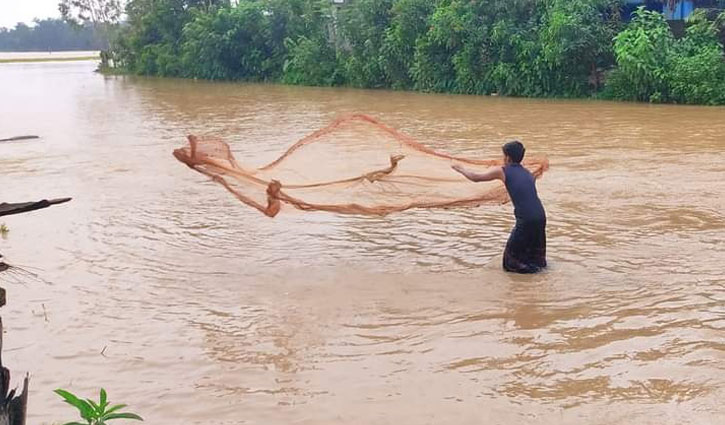 বন্যা: ফেনীতে মৎস্যখাতে ১ কোটি ১৮ লাখ টাকার ক্ষয়ক্ষতি