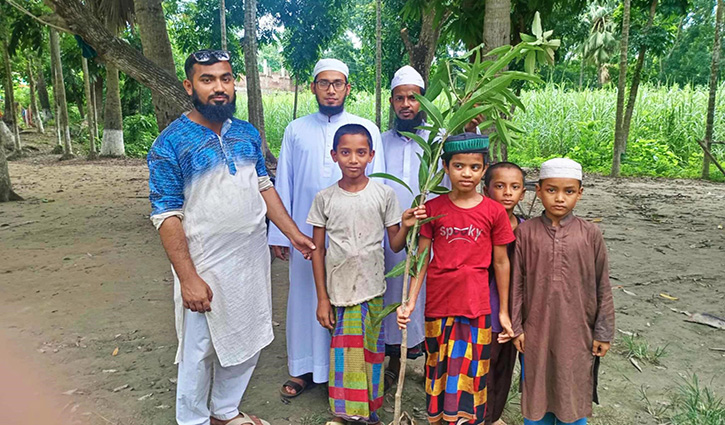 নড়াইলে মসজিদ-মাদরাসায় ফলজ গাছের চারা বিতরণ