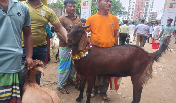 ঈদের দ্বিতীয় দিনেও কোরবানি ‍দিচ্ছেন অনেকে