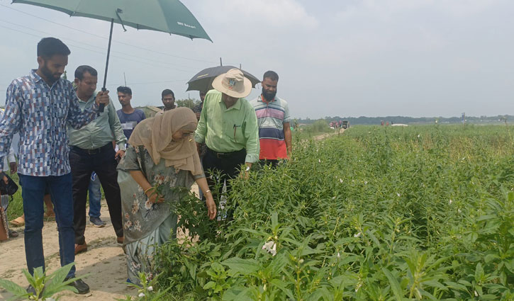 অধিক ফলনশীল তিল ও চিনা বাদাম চাষে উদ্বুব্ধকরণে মাঠ দিবস 