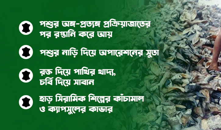 ফেলে দেওয়া পশুর হাড়-শিংয়ে কোটি টাকার বাণিজ্য