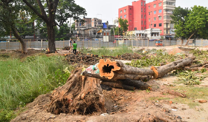 ‘গাছে কোপ দেওয়ার আগে আমার হাতে কোপ দাও’