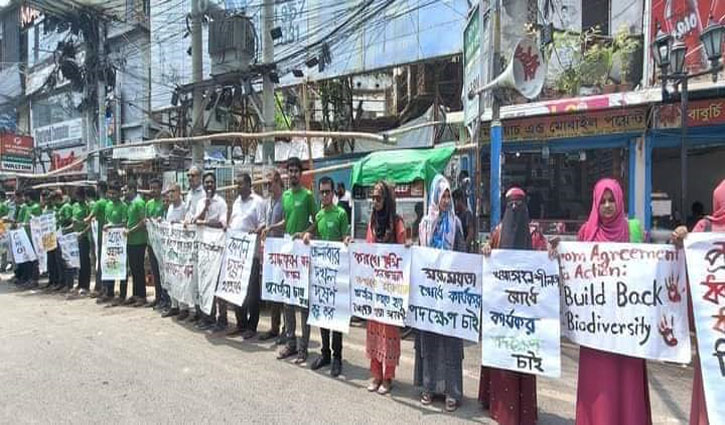 রাজশাহীতে শতবর্ষী গাছ না কেটে শহিদ মিনার নির্মাণের দাবি