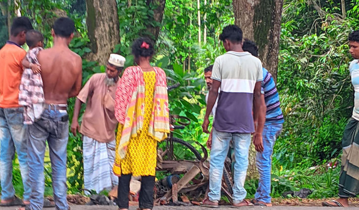 গোপালগঞ্জে পৃথক সড়ক দুর্ঘটনায় ৩ জন নিহত