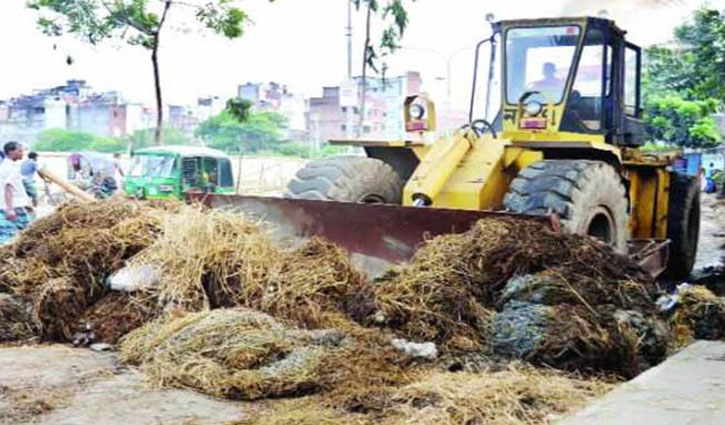 ৮ ঘণ্টায় কোরবানির পশুর বর্জ্য অপসারণ করবে কেসিসি