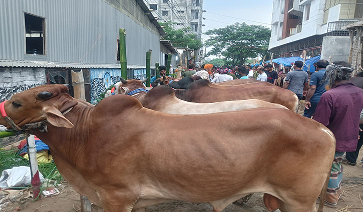 বেচাবিক্রিতে খুশি নন খামারি-ব্যাপারীরা