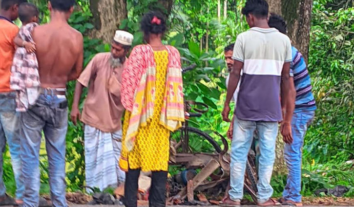 গোপালগঞ্জে অজ্ঞাত গাড়ির চাপায় ভ্যানচালক নিহত