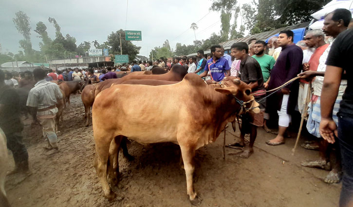 ‘দাম শুনেই চলে যাচ্ছেন ক্রেতারা’ দাবি বিক্রেতাদের