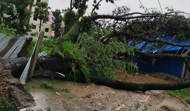 গরু আনতে গিয়ে বজ্রপাতে অন্তঃসত্ত্বা নারীর মৃত্যু