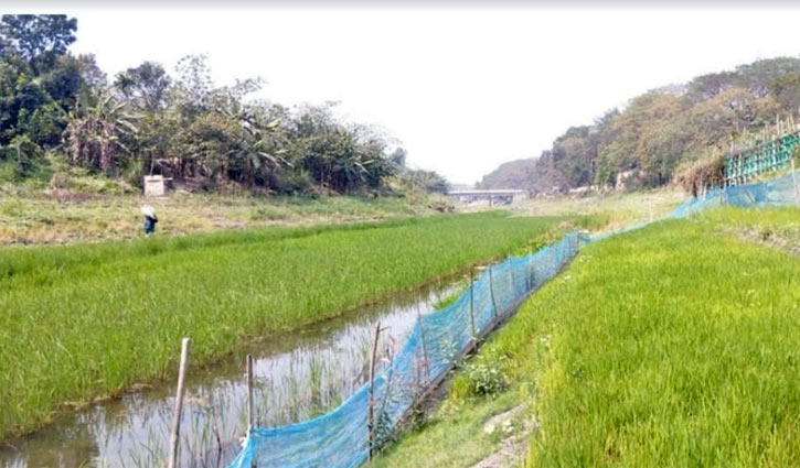 কোটি টাকা ব্যয়ে খনন করা ইছামতীর এ কী রূপ!