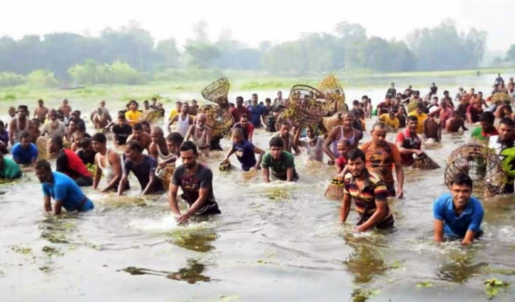 চলনবিলে শৌখিন মৎস্য শিকারীদের বাউত উৎসব 