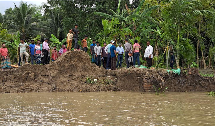 তীব্র স্রোতে ভাঙছে নবগঙ্গা, অনেকেরই বসতবাড়ি নদীগর্ভে 