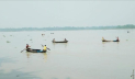 ঝালকাঠিতে অভিযানের ট্রলার চালকের বিরুদ্ধে সহযোগিতার অভিযোগ