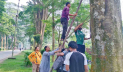 রাবির গাছ থেকে পেরেক ও সাইনবোর্ড অপসারণ স্বেচ্ছাসেবীদের