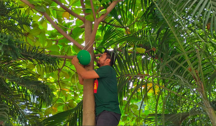 পাখিদের নিরাপদ আশ্রয়ে টাঙ্গাইলে গাছে গাছে মাটির হাঁড়ি