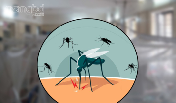 300 dengue deaths recorded in 10 months