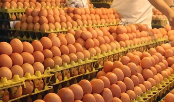 Govt permits import of 4.5 crore eggs